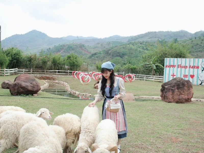 Homestay Mộc Châu đẹp nhất