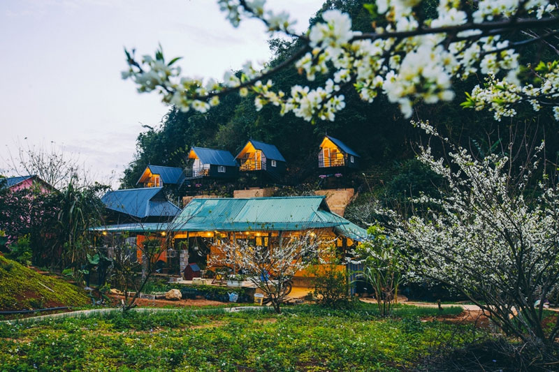 Các căn homestay Mộc Châu đẹp nhất