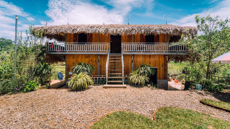 Top Homestay Mù Cang Chải View đẹp nhất