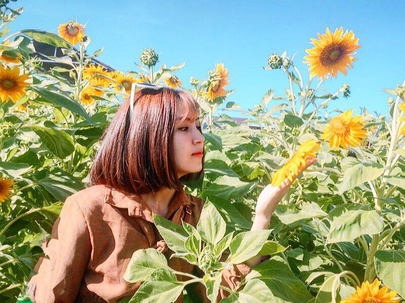 Các homestay ở Ninh Thuận tốt nhất hiện nay