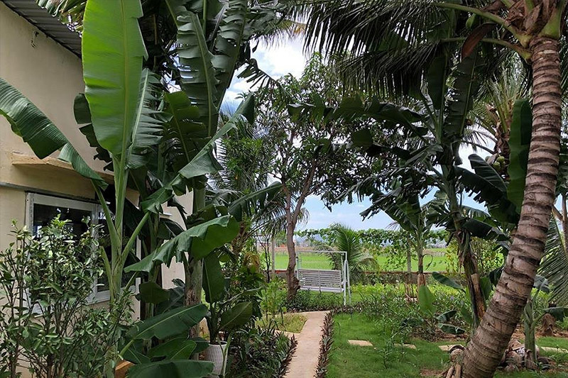 Top homestay ở Ninh Thuận tốt 2020