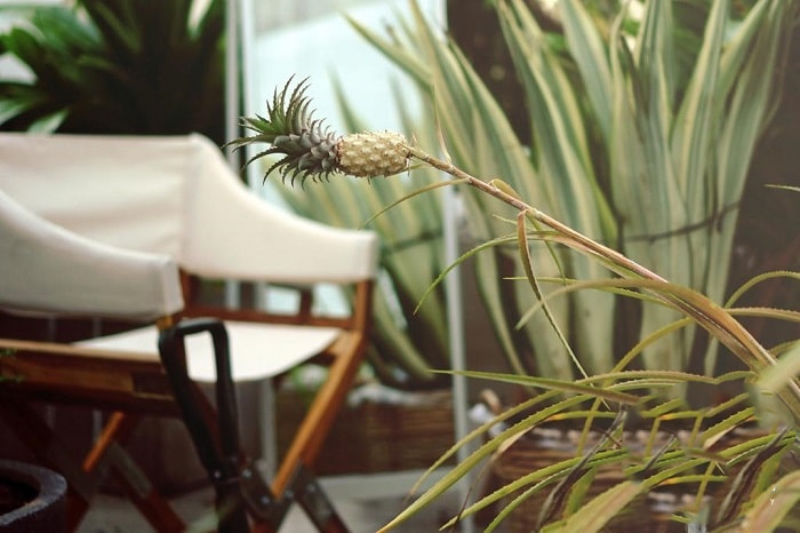 HOMEstay Ninh Thuận tốt 2020