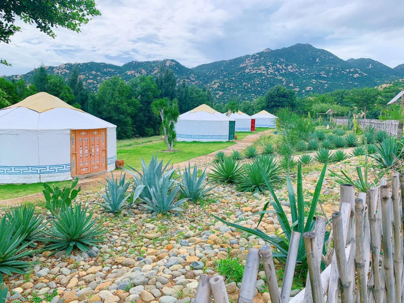 Kinh nghiệm đi Tanyoli Ninh Thuận