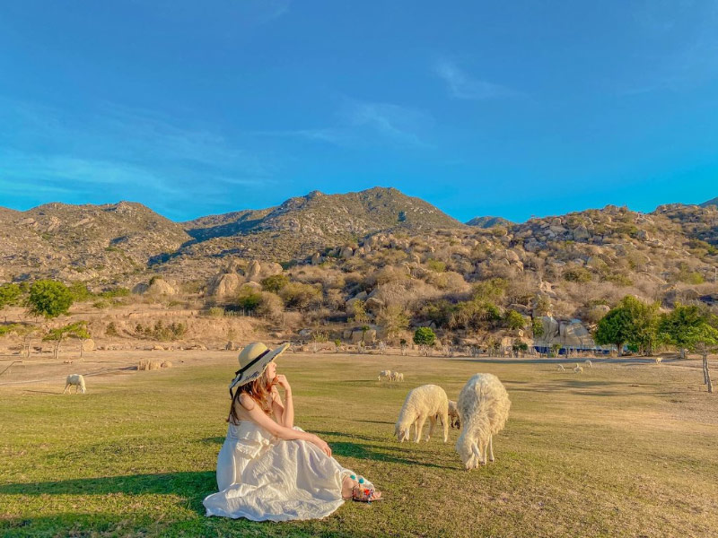 Kinh nghiệm đi Tanyoli Ninh Thuận 2021