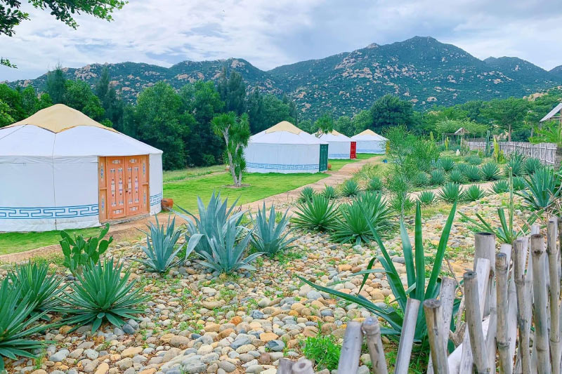 Kinh nghiệm đi Tanyoli Ninh Thuận