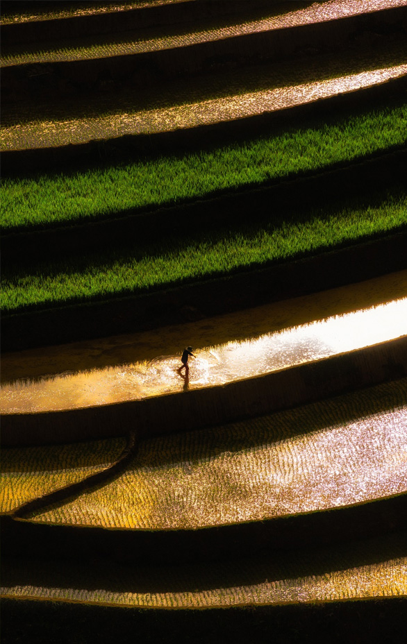 Du lịch Mù Cang Chải mùa nước đổ 2