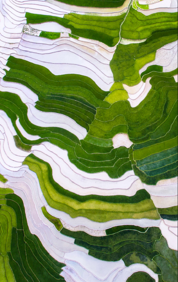 Du lịch Mù Cang Chải mùa nước đổ 1