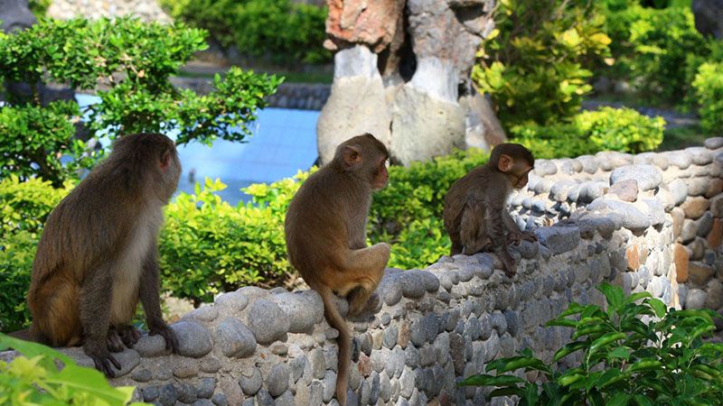 Kinh nghiệm du lịch Nha Trang 3N2Đ 2021