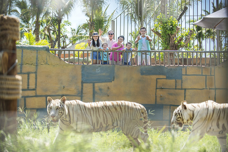 Kinh nghiệm du lịch Nha Trang 3 ngày 2 đêm mới nhất