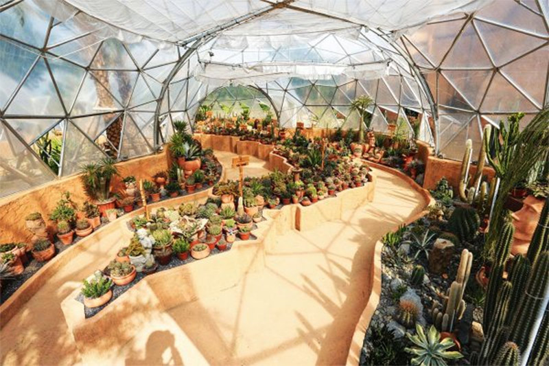 Kinh nghiệm du lịch Nha Trang 3 ngày 2 đêm mới nhất