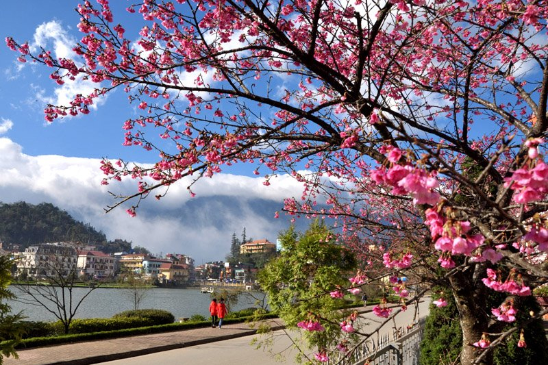 Điểm chơi Tết ở Hà Nội 11