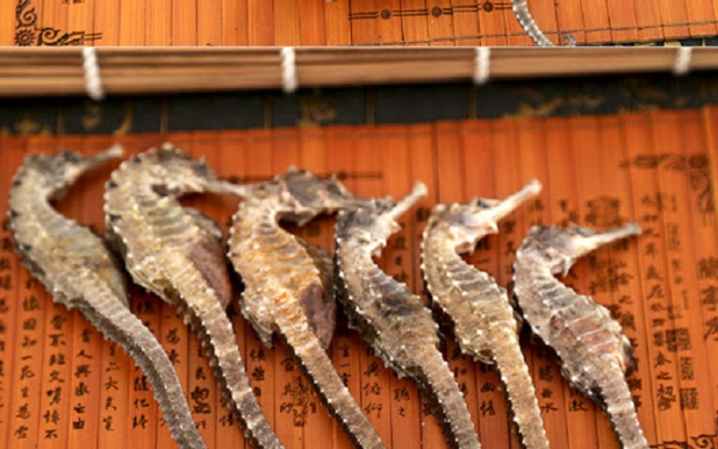 Du lịch bụi Nha Trang thế nào?