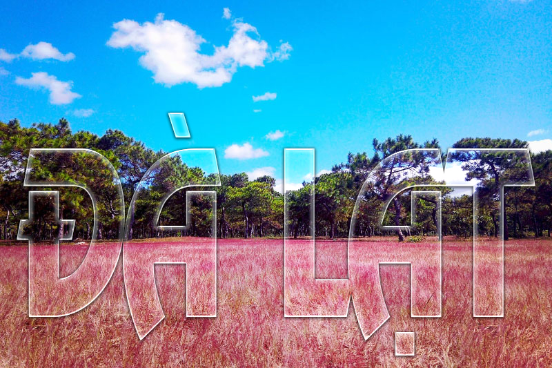 Kinh nghiệm du lịch Đà Lạt 1