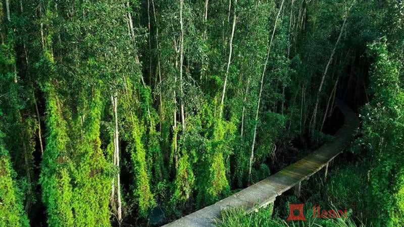 Kinh nghiệm du lịch miền Tây điểm tham quan