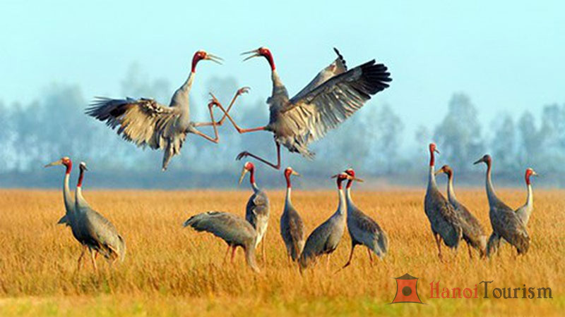 Kinh nghiệm du lịch miền Tây 