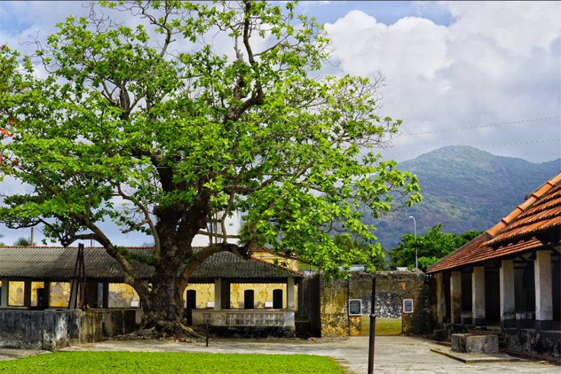 Kinh nghiệm du lịch tâm linh Côn Đảo