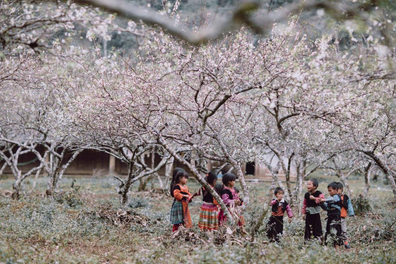 Kinh nghiệm du lịch Tây Bắc mới nhất
