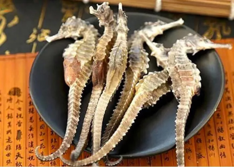 Đặc sản Nha Trang mua làm quà cá ngựa khô