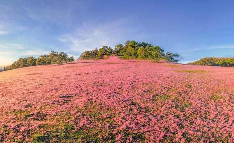 TOP 10 điểm du lịch Việt Nam không nên bỏ lỡ 2
