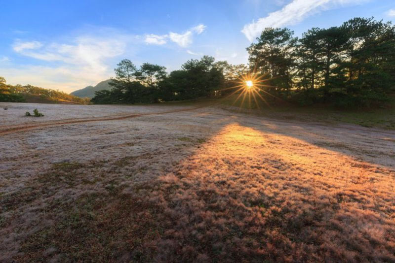 Kinh nghiệm đi đồi cỏ hồng Đà Lạt 2021