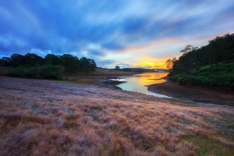 Kinh nghiệm đi đồi cỏ hồng Đà Lạt chi tiết